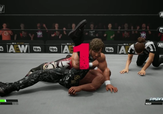 AEW: Fight Forever EN/DE/FR/JA/PT/ZH/ES Global