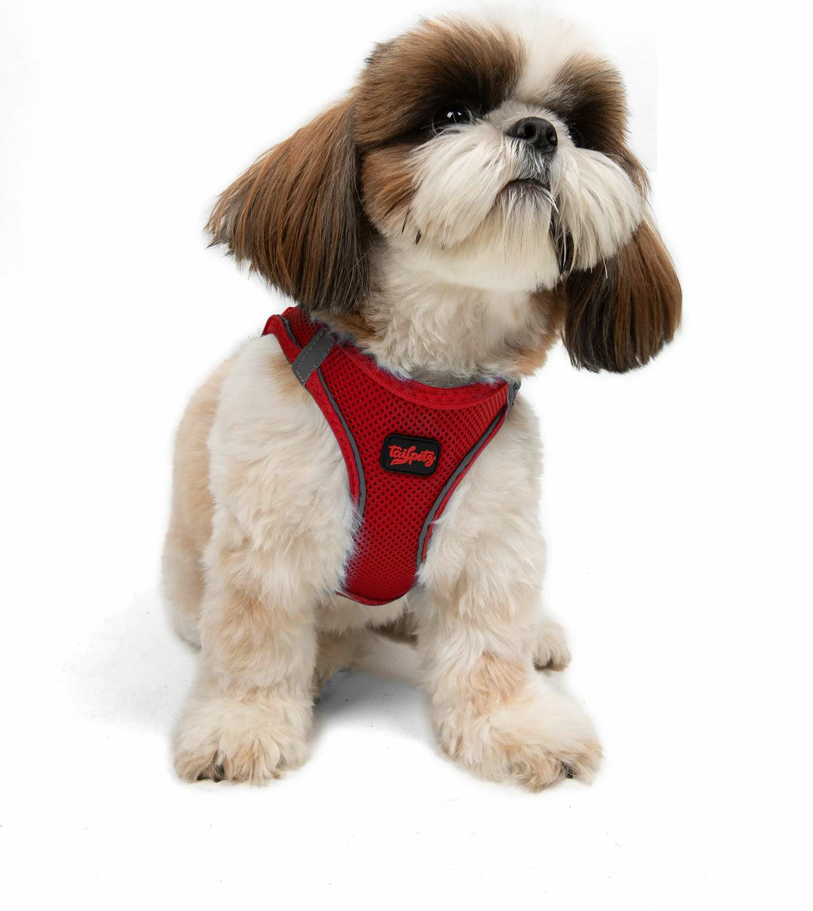 Parzmore për qen, Paws & Whiskers, Air-Mesh, e kuqe