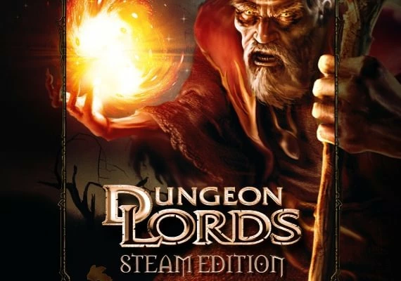 Dungeon Lords Steam Edition EN/DE/FR Global