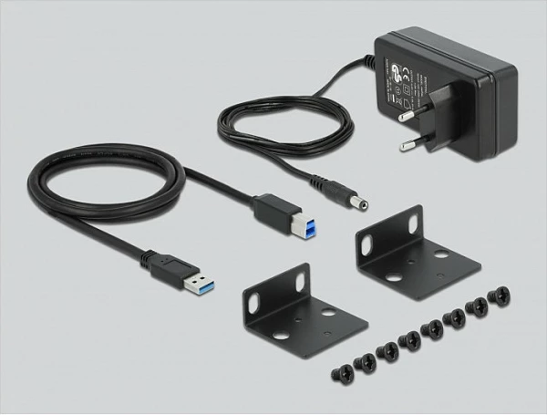 USB hub DeLOCK 10" Industry Hub, 10x USB 3.2 Gen1 Type-A, 5 Gbit/s, montim rack 10", i zi