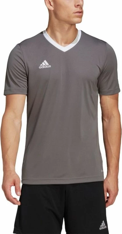 Maicë adidas për meshkuj, gri [Madhësia: XXL]