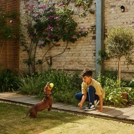 Sensor lëvizjeje Yale për jashtë, Infrared, Wireless, i zi