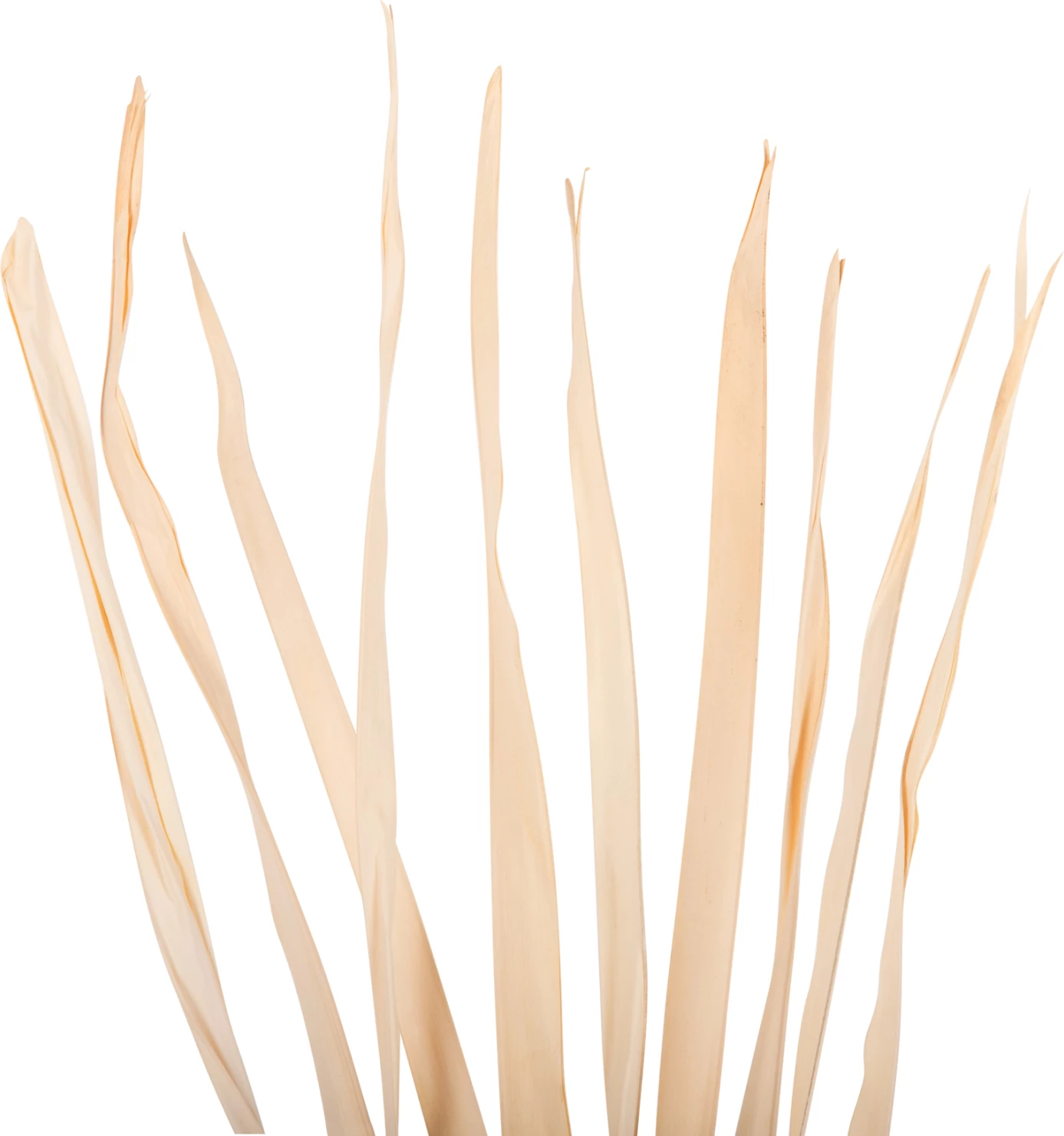 Buqetë dekorative me gjethe të thata, FH7964, 10 copë, natyrale, 120 cm