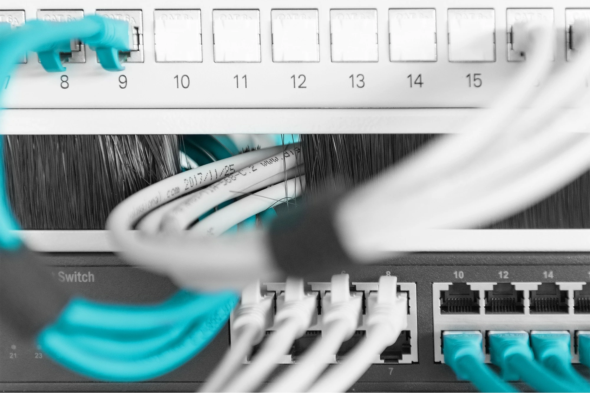 Panel bosh me brushë për kabllo Digitus, 1U, 483mm, ngjyrë hiri