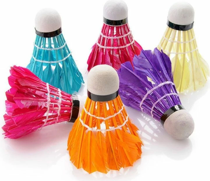 Shuttlecocks badminton Yakimasport Rox 20515, shumëngjyrëshe, 6 copë