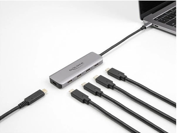 USB-C hub DeLOCK 4-port, 5 Gbps (USB 3.2 Gen 1), me port USB-C për energji, gri