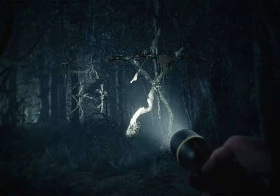 Blair Witch Global