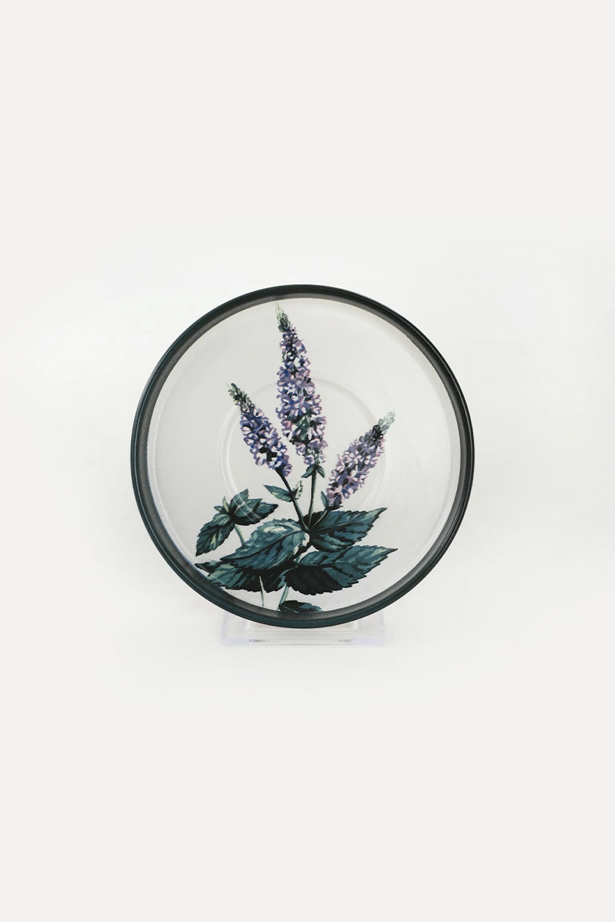 Set filxhanash për kafe (12 copë), Hermia, TC038312F022A29DM00MATCS00