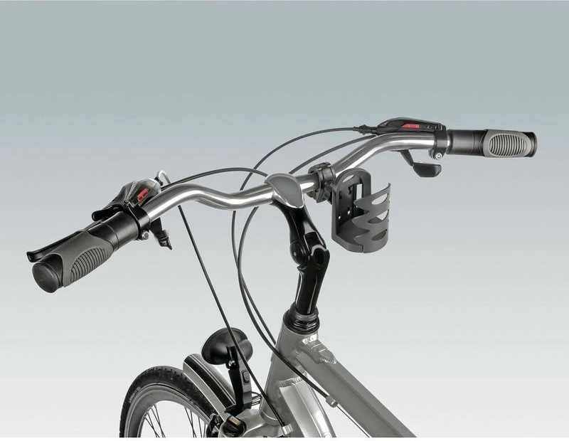 Mbajtes Gote Per Timon