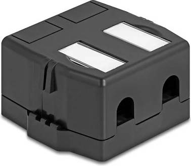 Kuti Keystone DeLOCK 2-Port, me bazë magnetike, e zezë