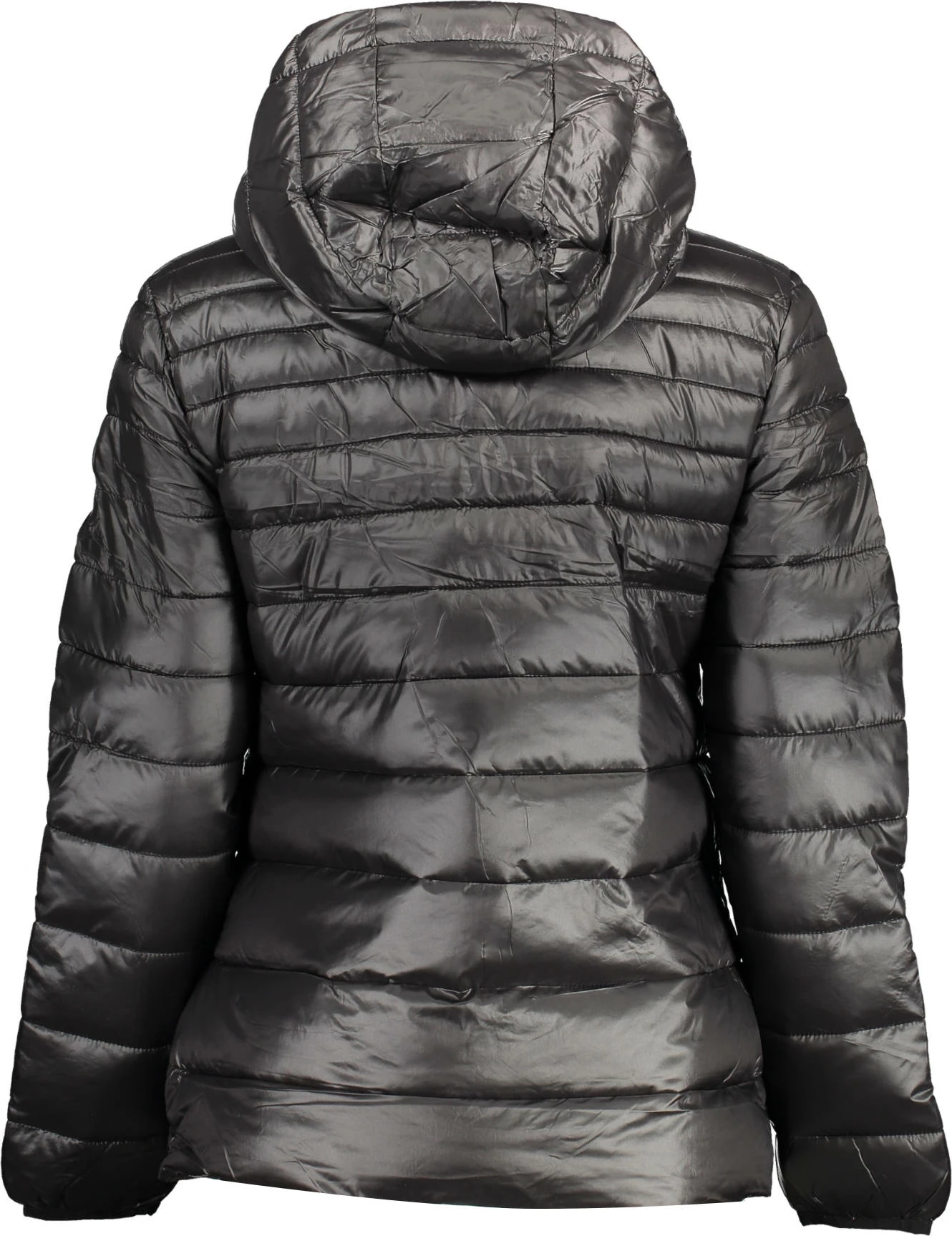 Jakne U.S. POLO Polo femra, e zezë