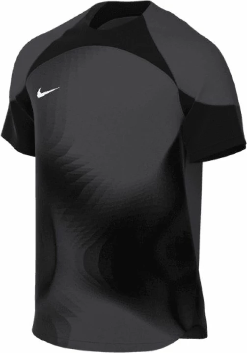 Fanellë portieri Nike Dri-FIT ADV Gardien 4 për meshkuj, gri