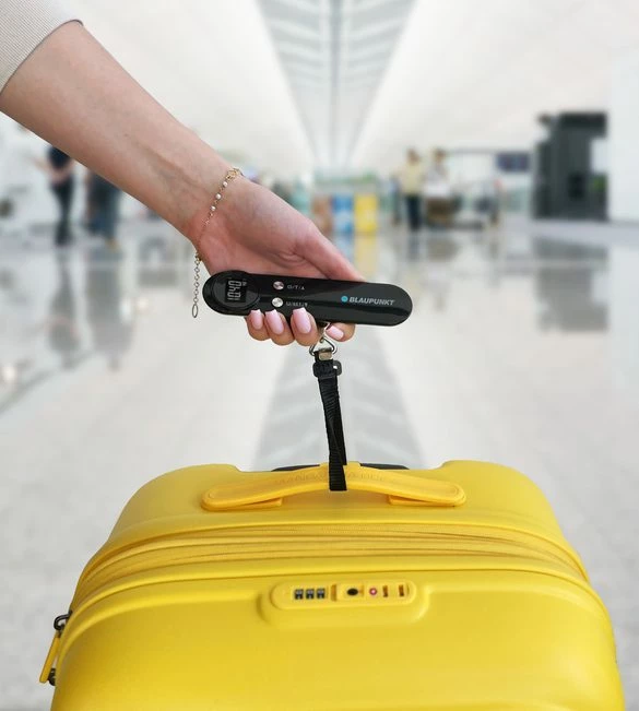 Peshore Për Valixhe BLAUPUNKT LGS301