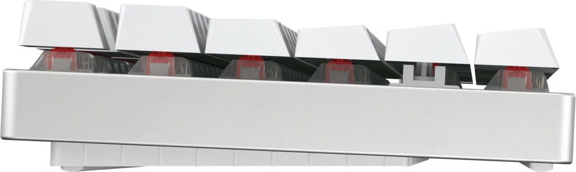 Tastierë mekanike Cherry Xtrfy MX 8.2 XAGA TKL WL RGB, Wireless, e bardhë