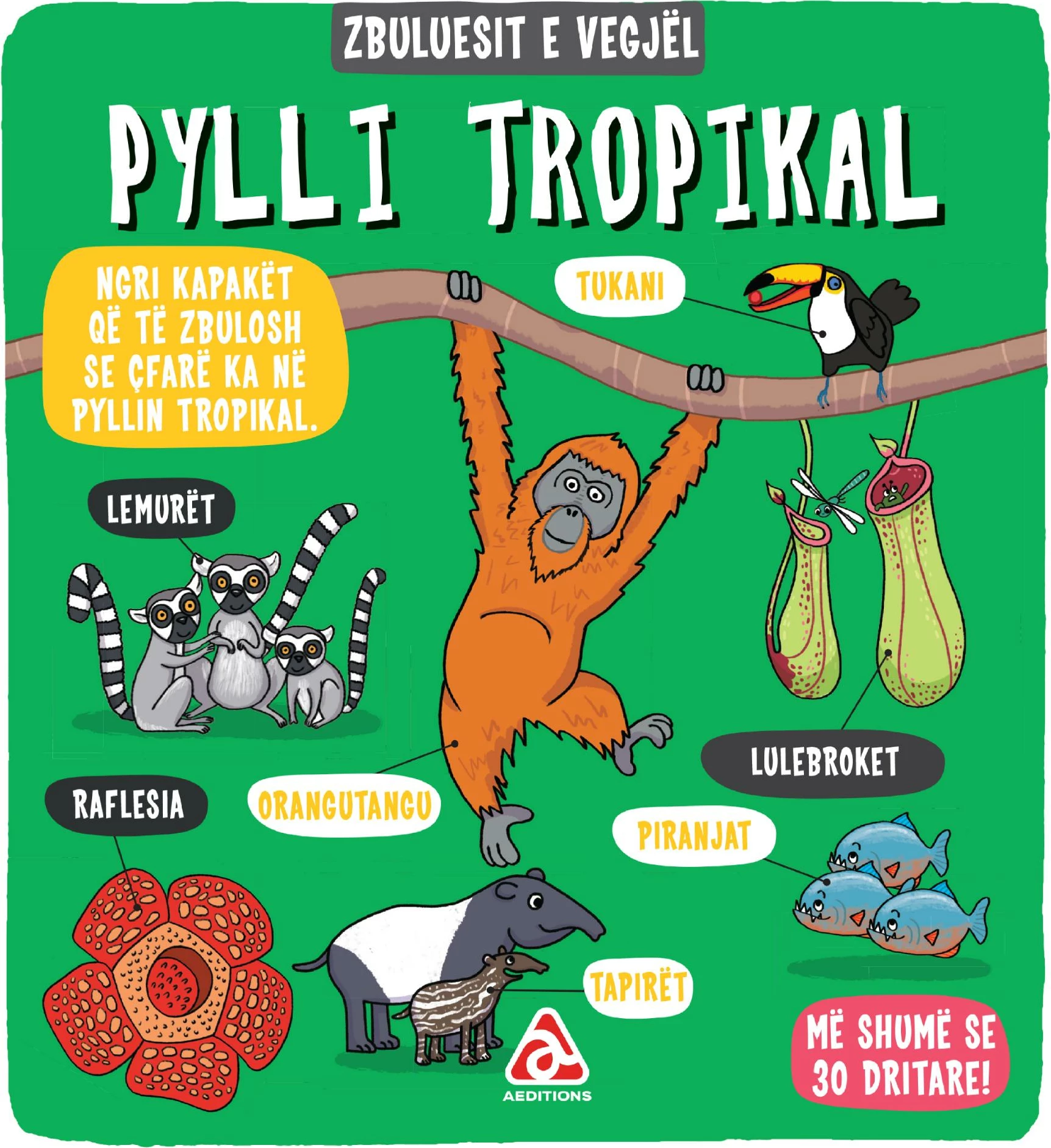 Pylli tropikal (Zbuluesit e vegjel)