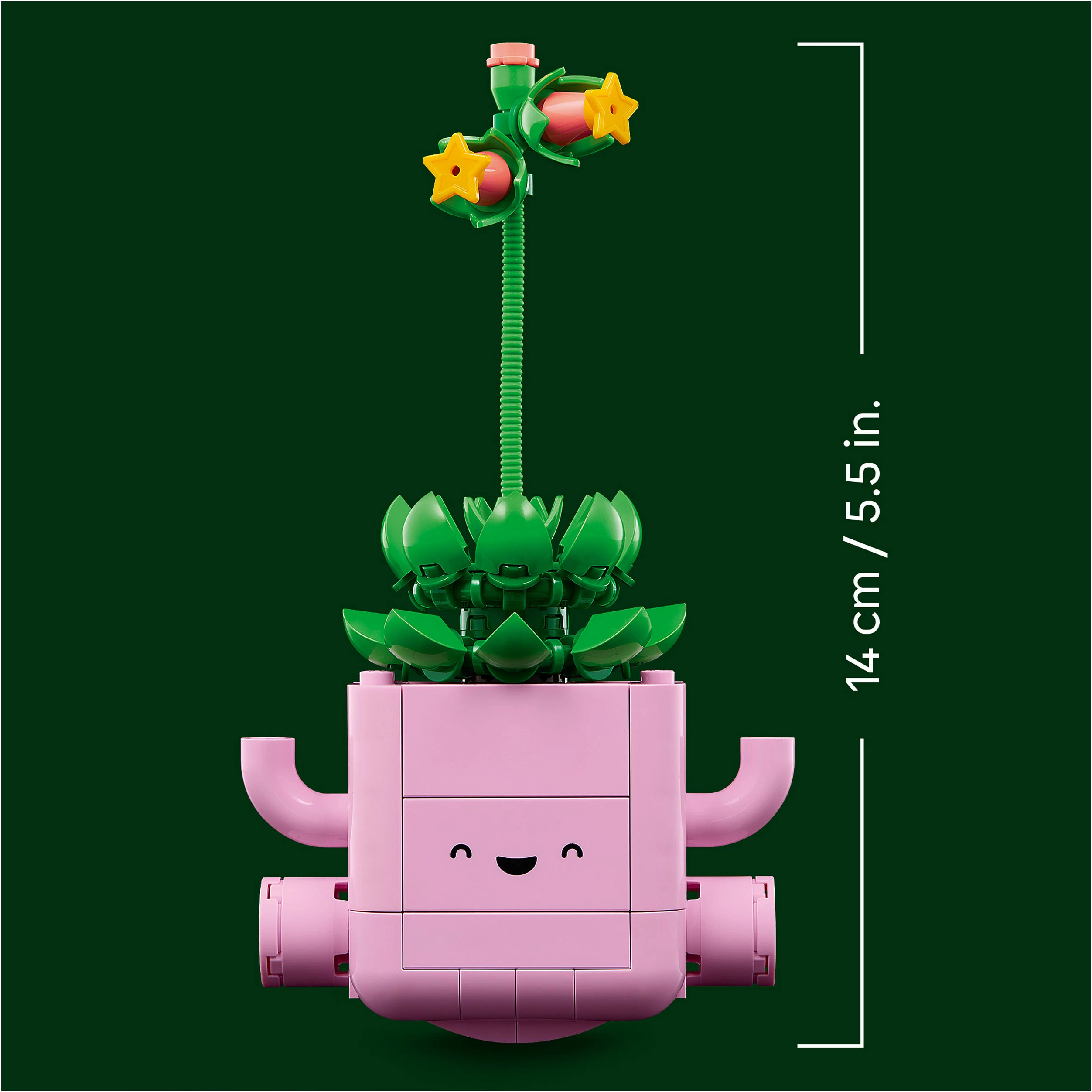 Set LEGO Botanicals Rocking Plants 11506, 253 copë, multikolor