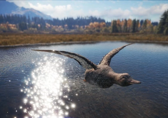 theHunter: Call of the Wild - Duck and Cover Pack DLC EN Global