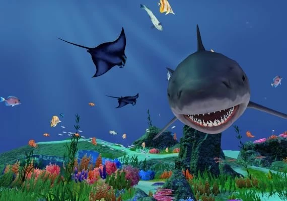 Fancy Fishing VR EN Global