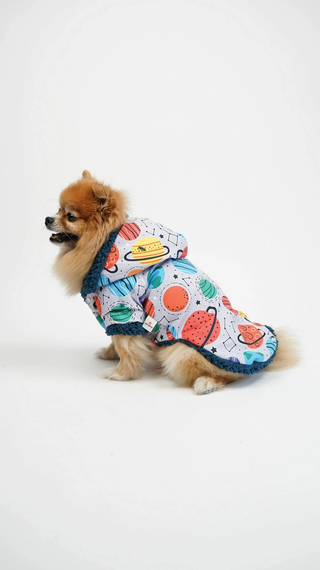 Bluzë me kapuç për qen, Galaxy Raincoat, shumëngjyrëshe, Paws & Whiskers