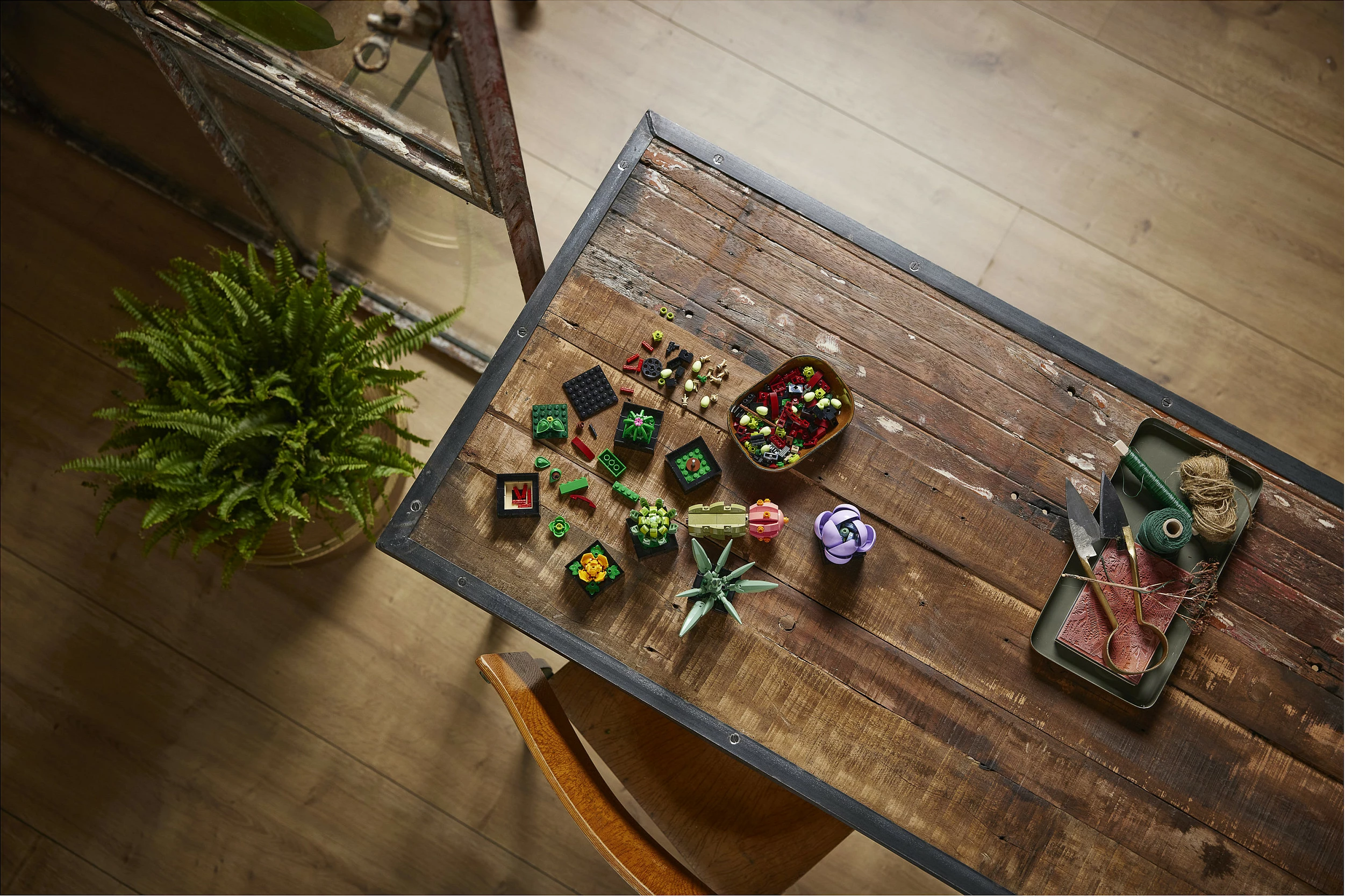 Set ndërtimi LEGO Botanicals Succulents 10309, 771 copë, 18+, multikolor