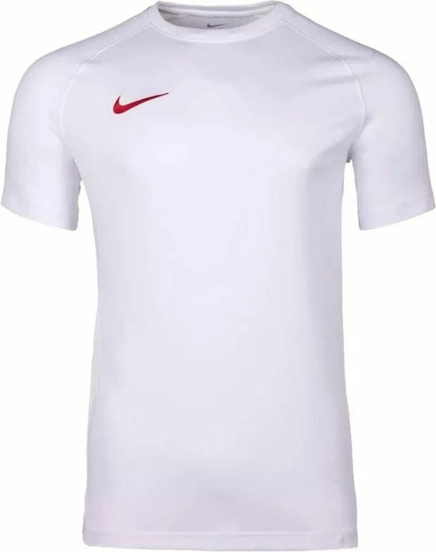 Maicë Nike Park VIII HV8173-103