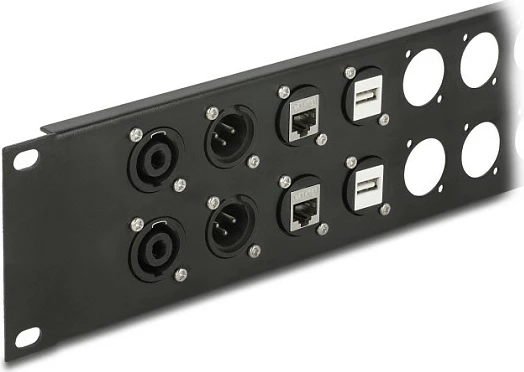 Patch panel 19" DeLOCK, 24 port, 2U, i zi