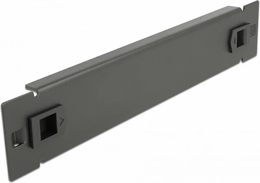 Panel i verbër rack DeLOCK, 10", 1U, montim pa vegla, i zi