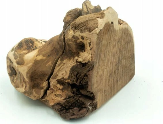 Përtypëse natyrale për qen 4DOGS Heather Root L (10-20 kg), 350-500 g