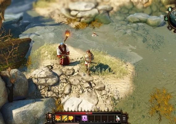 Divinity: Original Sin Enhanced Collector's Edition EN/DE/FR/IT/PL/CS/RU Global
