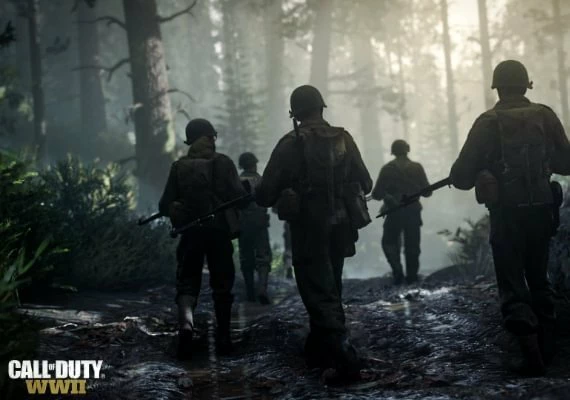 CoD Call of Duty: World War II   WWII - Endowment Bravery Pack DLC Global