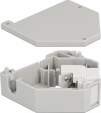 Adapter DIN rail DeLOCK Keystone IEC femër në terminal bllok, 35 mm, Gri/Bardhë