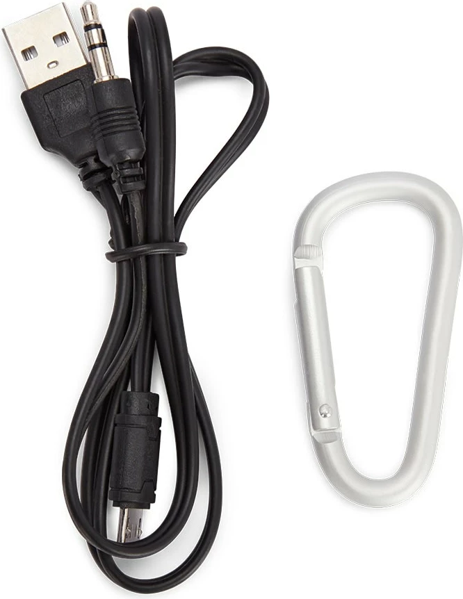 Altoparlant Portativ AIWA BS-110BK (Zezë)