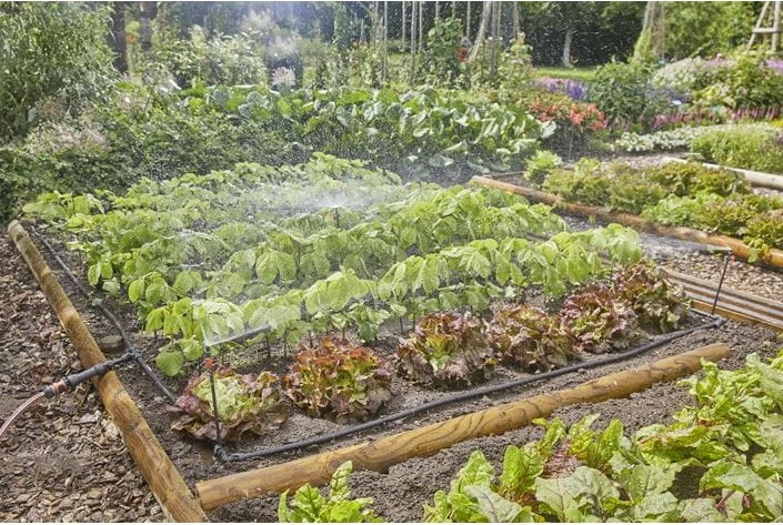 Set ujitje me pika Gardena 13450-20, 25m, zi, gjelbër