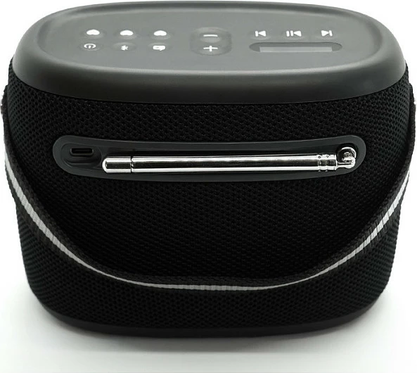 Altoparlant PURE Woodland, outdoor i papërshkueshëm nga uji, FM/DAB+, i zi