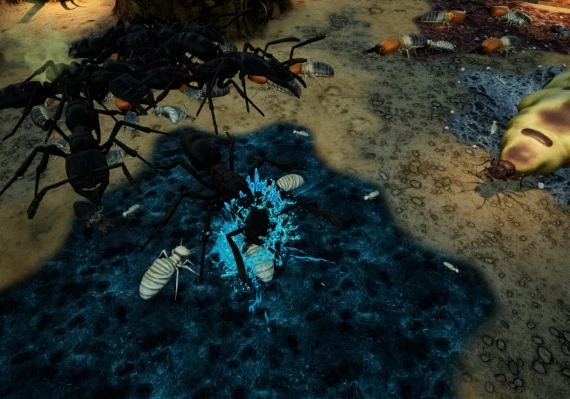 Empires of the Undergrowth - Exploding Ants DLC EN/DE/RU/ZH/ES Global