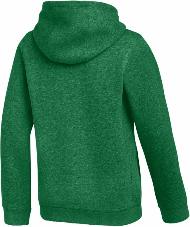 Duks për fëmijë Nike Park 26 Fleece Hoodie IB1226 302, i gjelbër