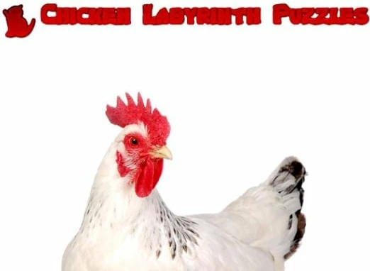 Chicken Labyrinth Puzzles EN Global