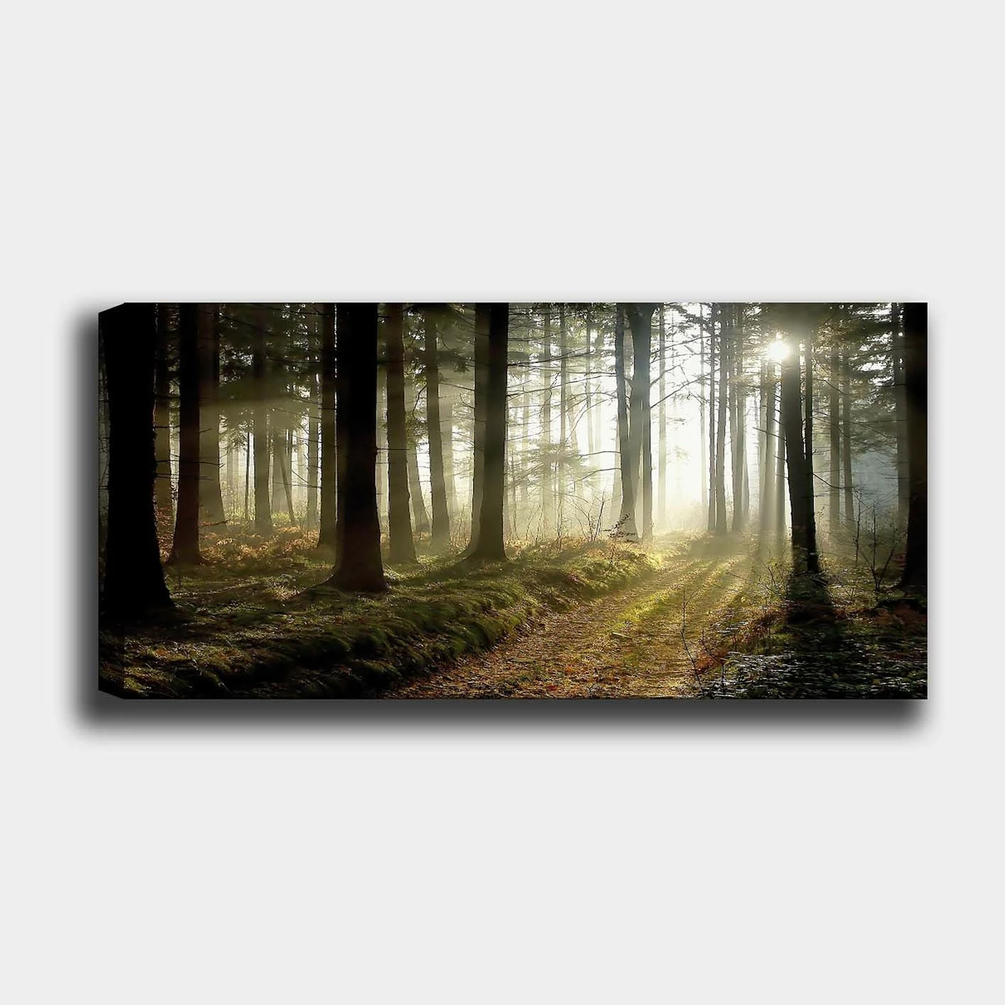 Pikturë dekorative në kanavacë, shumëngjyrëshe, Wallity YTY249153832_50120, 50x120cm