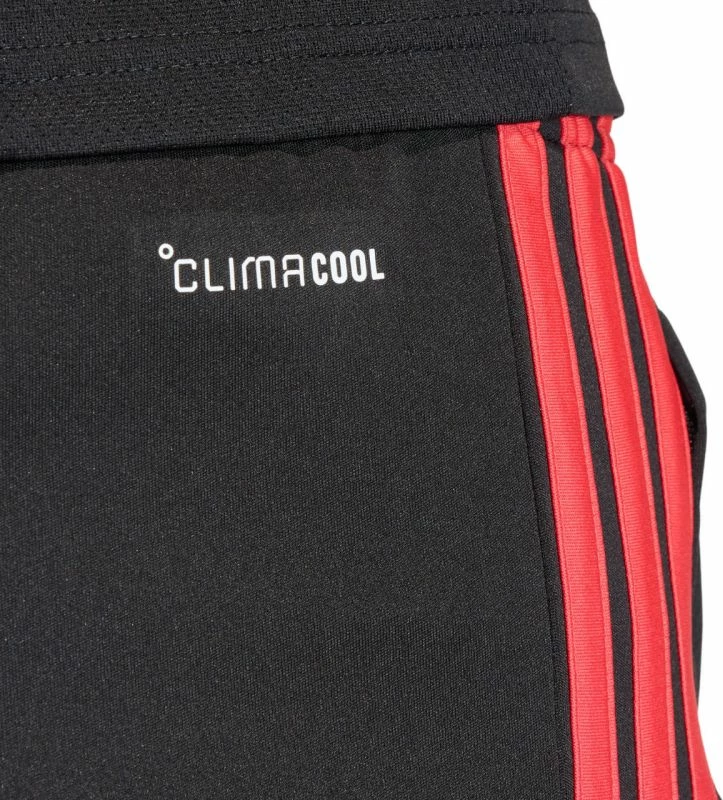 Shorce trajnimi për meshkuj adidas, të kuqe [Madhësia: L]