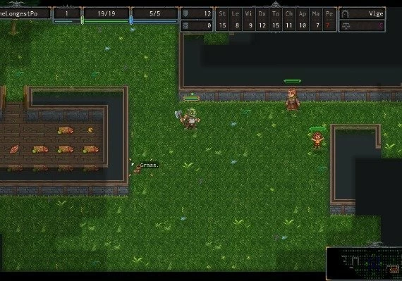 ADOM: Ancient Domains Of Mystery EN Global
