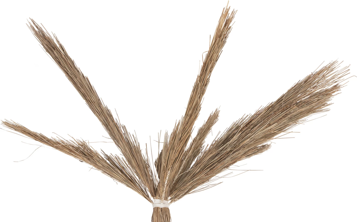 Pemë dekorative tropikale FH4323, stil kokosi, prej bari Mendong, 310Hcm