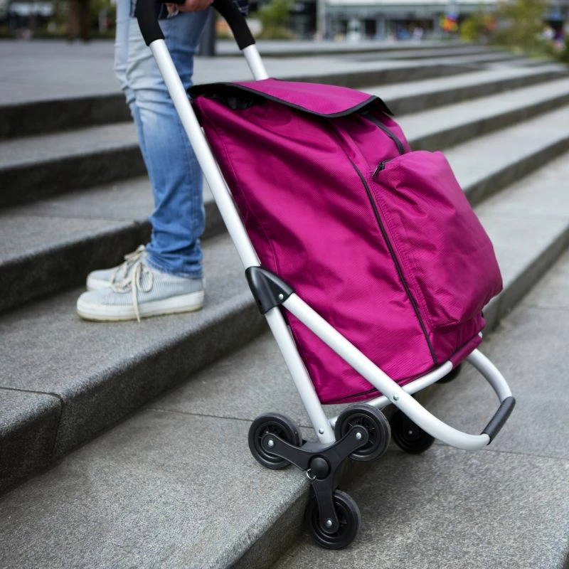 Karrocë Pazarësh Yakimasport Expert Premium 604353