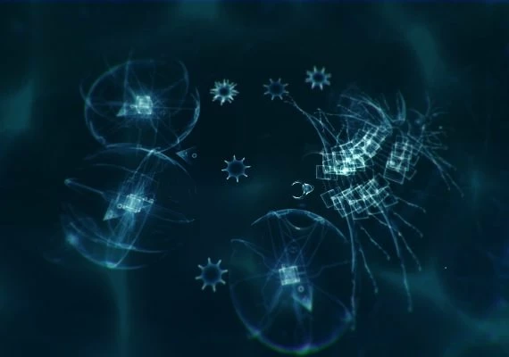 Sparkle ZERO EN Global