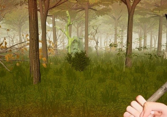 Forest Woodman EN/RU Global
