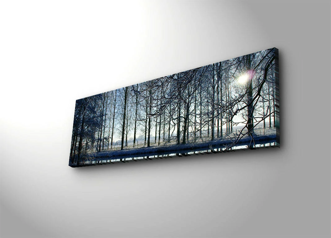 Pikturë dekorative me drita LED, Wallity, 3090DACT-37, shumëngjyrëshe, 30x90cm