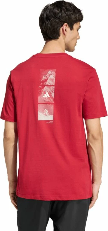 Maicë meshkuj adidas Outdoor Mountain Biking Graphic KB2538, e kuqe