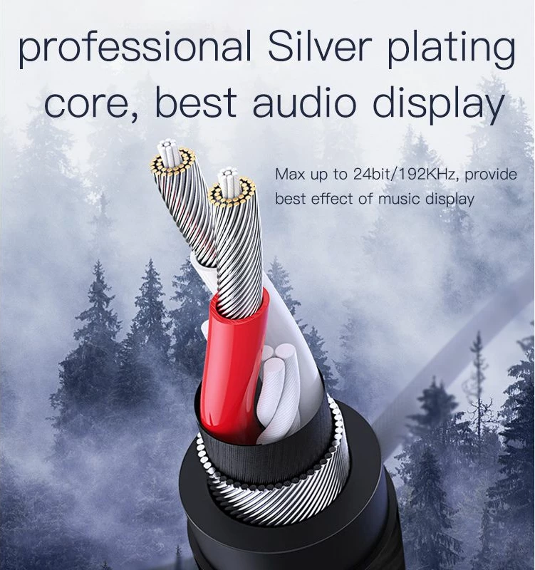 Kabllo Aux Audio 1000mm