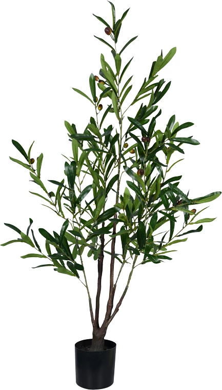 Bimë dekorative ulliri në vazo, jeshile, 120cm