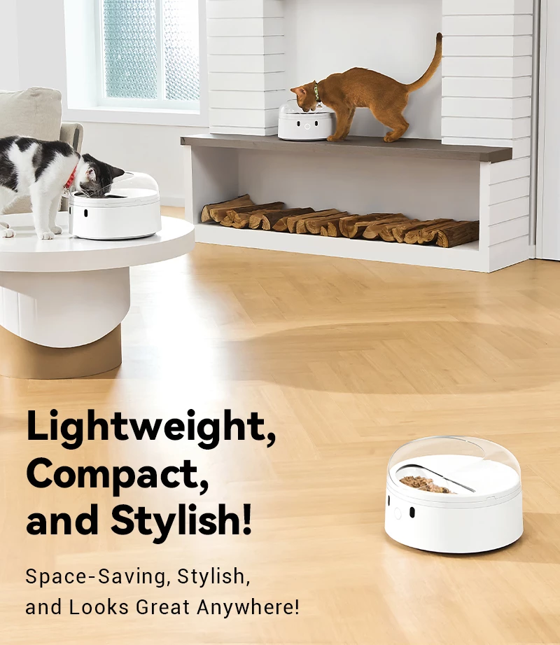 Dispenser smart ushqimi për mace Catlink F03, 400 ml, RFID + njohje fytyre, i bardhë, set me qafore + RFID tag