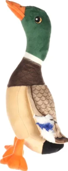 Lodër për qen 